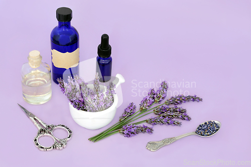 Image of Lavender Herb Flower Aromatherapy Essential Oil  