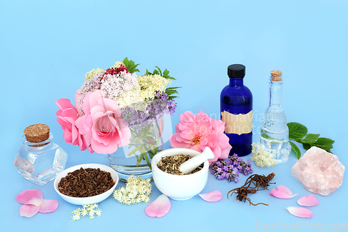 Image of Flowers and Herbs used in Natural Alternative Herbal Remedies 