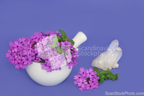 Image of Verbena Herb Flowers Crystal Healing