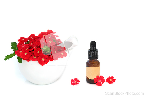 Image of Red Verbena Flowers and Essential Oil Bottle