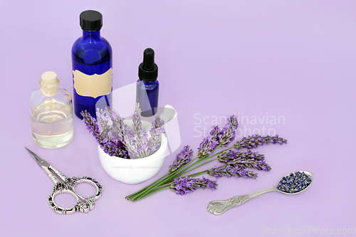 Image of Lavender Herb Flower Aromatherapy Essential Oil  