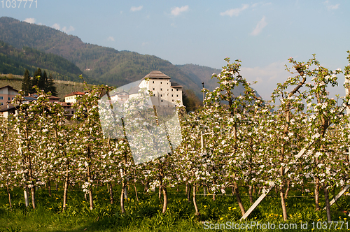 Image of Caldes, Trentino, Italy