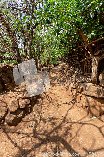 Image of path in walled village tribes Konso, Ethiopia