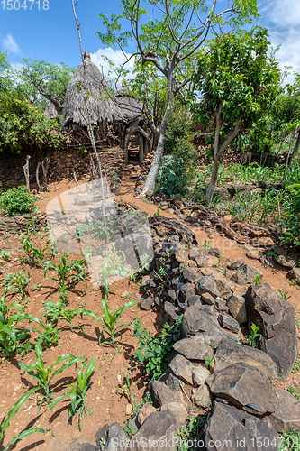 Image of fantastic walled village tribes Konso, Ethiopia