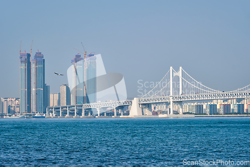 Image of Gwangan Bridge and skyscrapers in Busan, South Korea