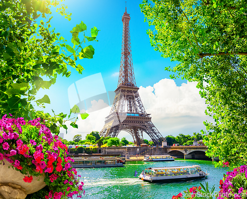 Image of Blossom in Paris