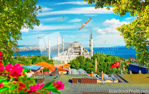 Image of Blue Mosque and flowers