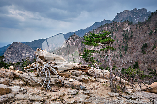 Image of Rocks and stones in Seoraksan National Park, South Korea