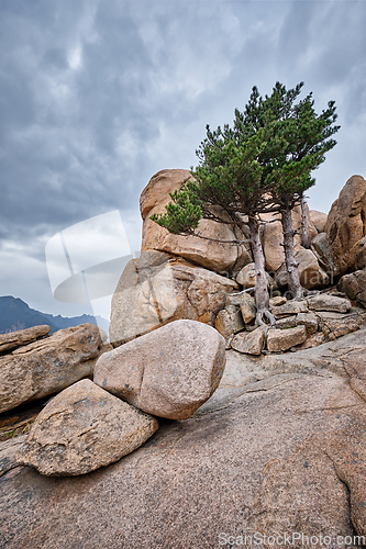 Image of Rock with pine trees in Seoraksan National Park, South Korea