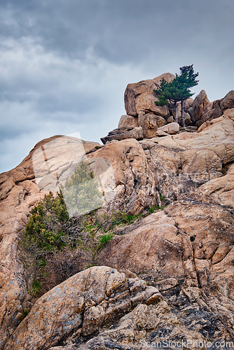 Image of Rock with pine trees in Seoraksan National Park, South Korea