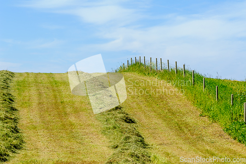 Image of newly mowed field with grass to dry and fence