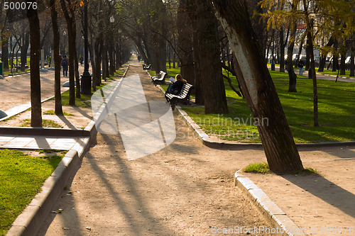 Image of Autumn in the city