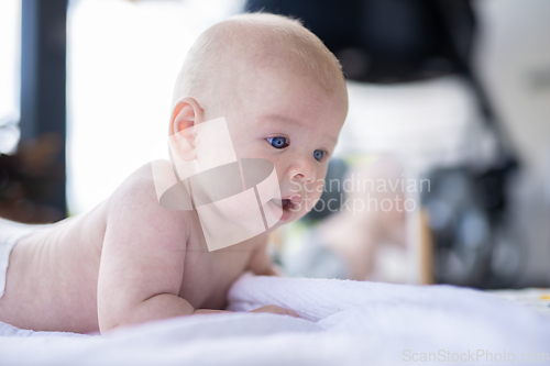 Image of Cute caucasian baby boy lying on stomach.