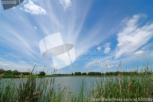 Image of Summer Landscape