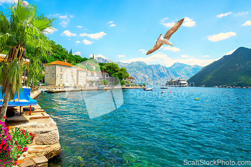 Image of Cruise liner in Perast