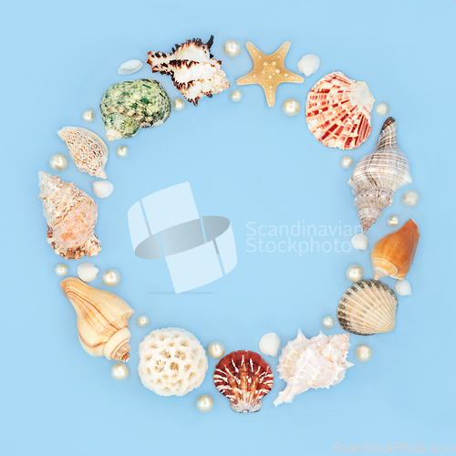 Image of Seashell and Pearl Natural Summer Wreath