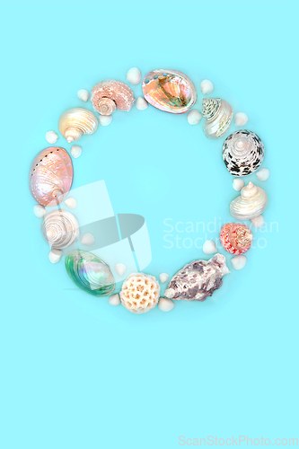 Image of Mother of Pearl Seashell Wreath