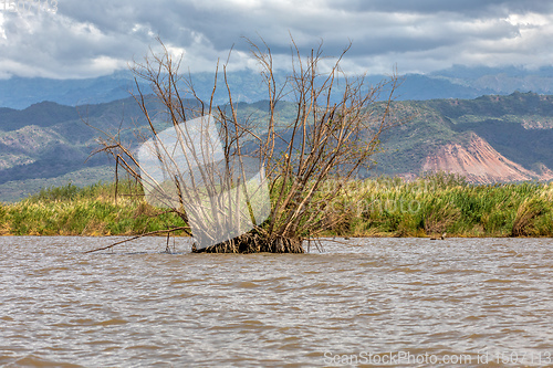 Image of Lake Chamo landscape, Ethiopia Africa