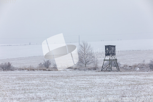 Image of Winter landscape covered with snow