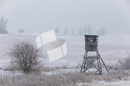 Image of Winter landscape covered with snow