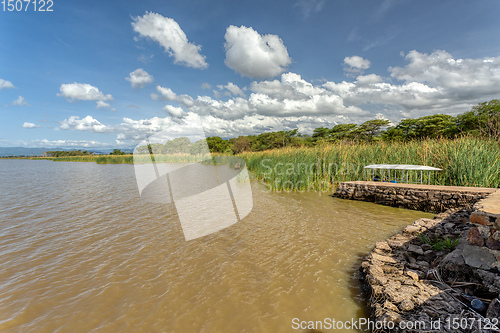 Image of Lake Chamo landscape, Ethiopia Africa