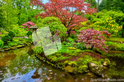 Image of Japanese garden, Park Clingendael, The Hague, Netherlands