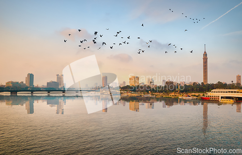 Image of Flock of birds over river Nile
