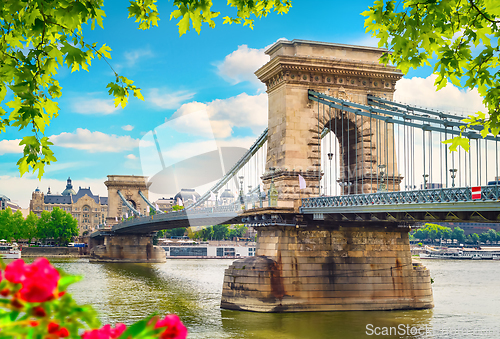 Image of Flowers and Chain bridge