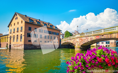 Image of Flowers in Strasbourg