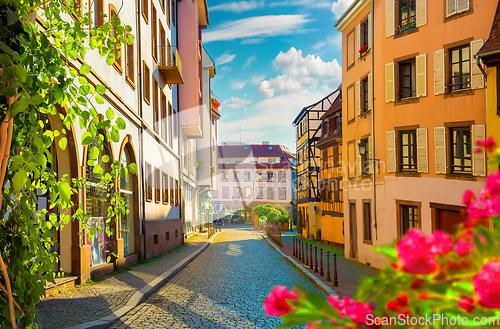 Image of Flowers on street