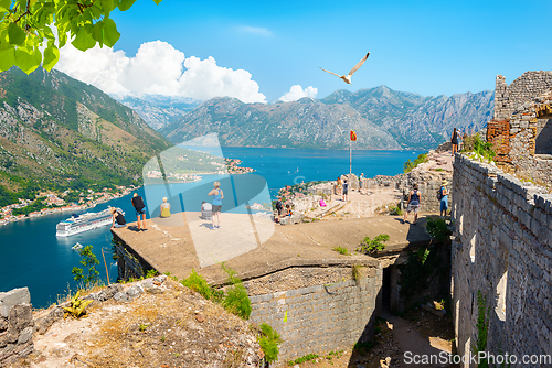 Image of Fortress in the Bay of Kotor