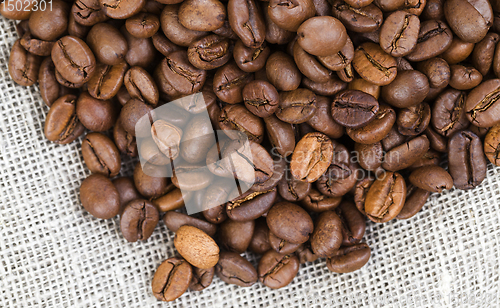 Image of coffee grain