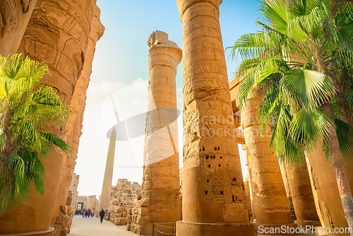 Image of Great columns in Karnak temple