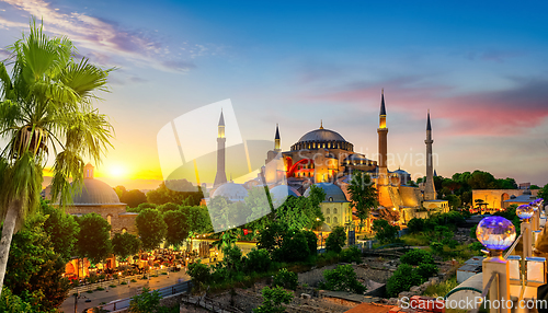 Image of Hagia Sophia and palm tree