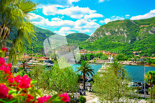 Image of Harbor in Kotor