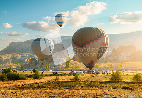 Image of Hot air balloons in morning