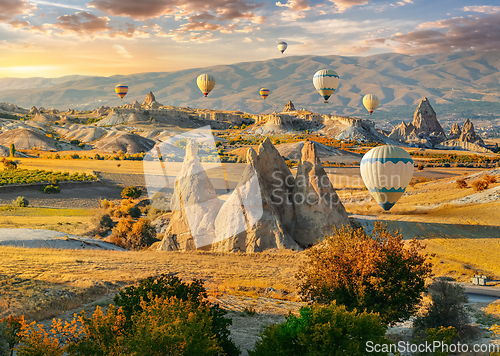 Image of Hot air balloons in the valley