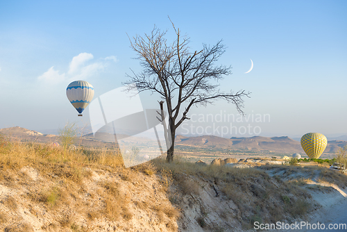 Image of Hot air balloons landing