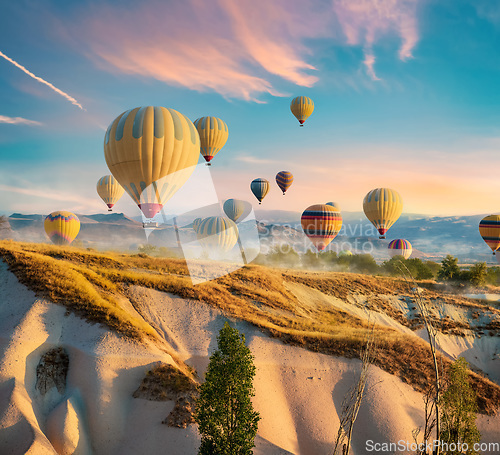 Image of Hot air balloons