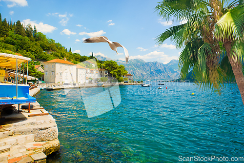 Image of Hot day in Perast