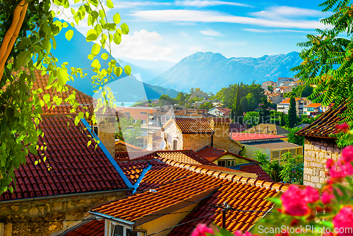 Image of Houses of Kotor