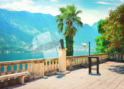 Image of Kotor bay from the rooftop