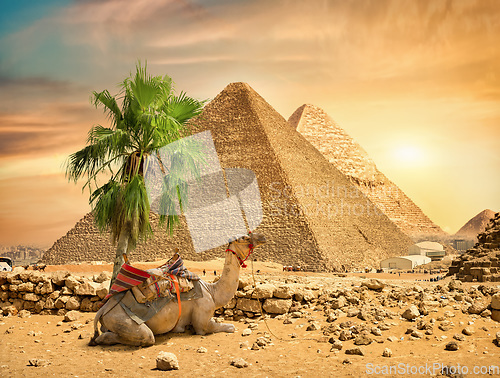 Image of Landscape at Giza