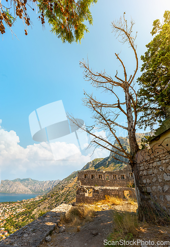 Image of Landscape of bay of Kotor