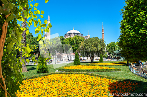 Image of Mosque from park in Istanbul