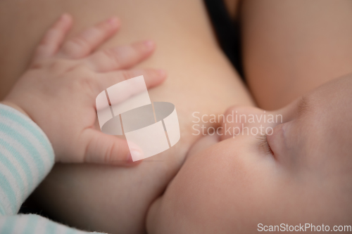 Image of Newborn baby sucks mother's breast