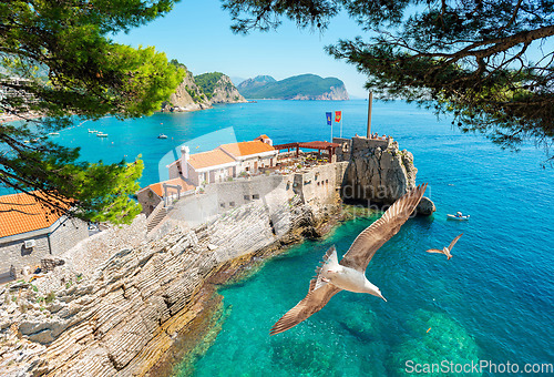 Image of Old Medieval Fortress In Petrovac