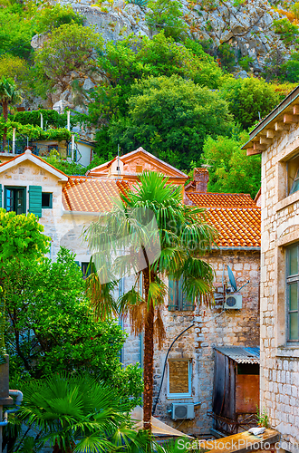 Image of Old houses in Kotor