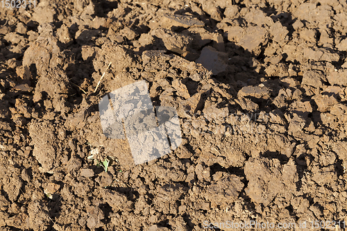 Image of simple arable land