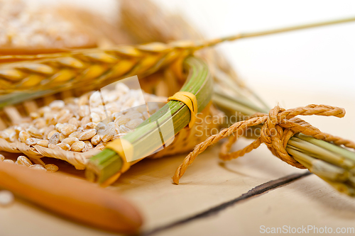 Image of organic wheat grains